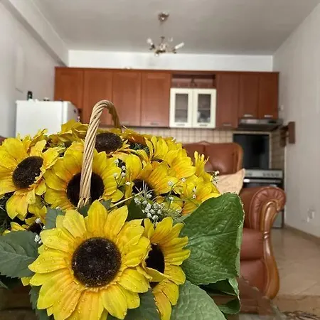 Sweet Home. Apartment Tirana